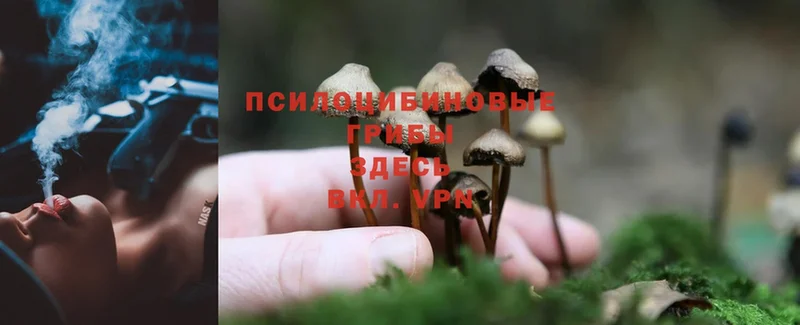 Псилоцибиновые грибы MAGIC MUSHROOMS  купить наркотики сайты  МЕГА как зайти  Великие Луки 